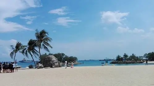 Tropischer Strand in Singapur mit Palmen und klarem blauen Himmel, einige Personen gehen am Strand entlang.
