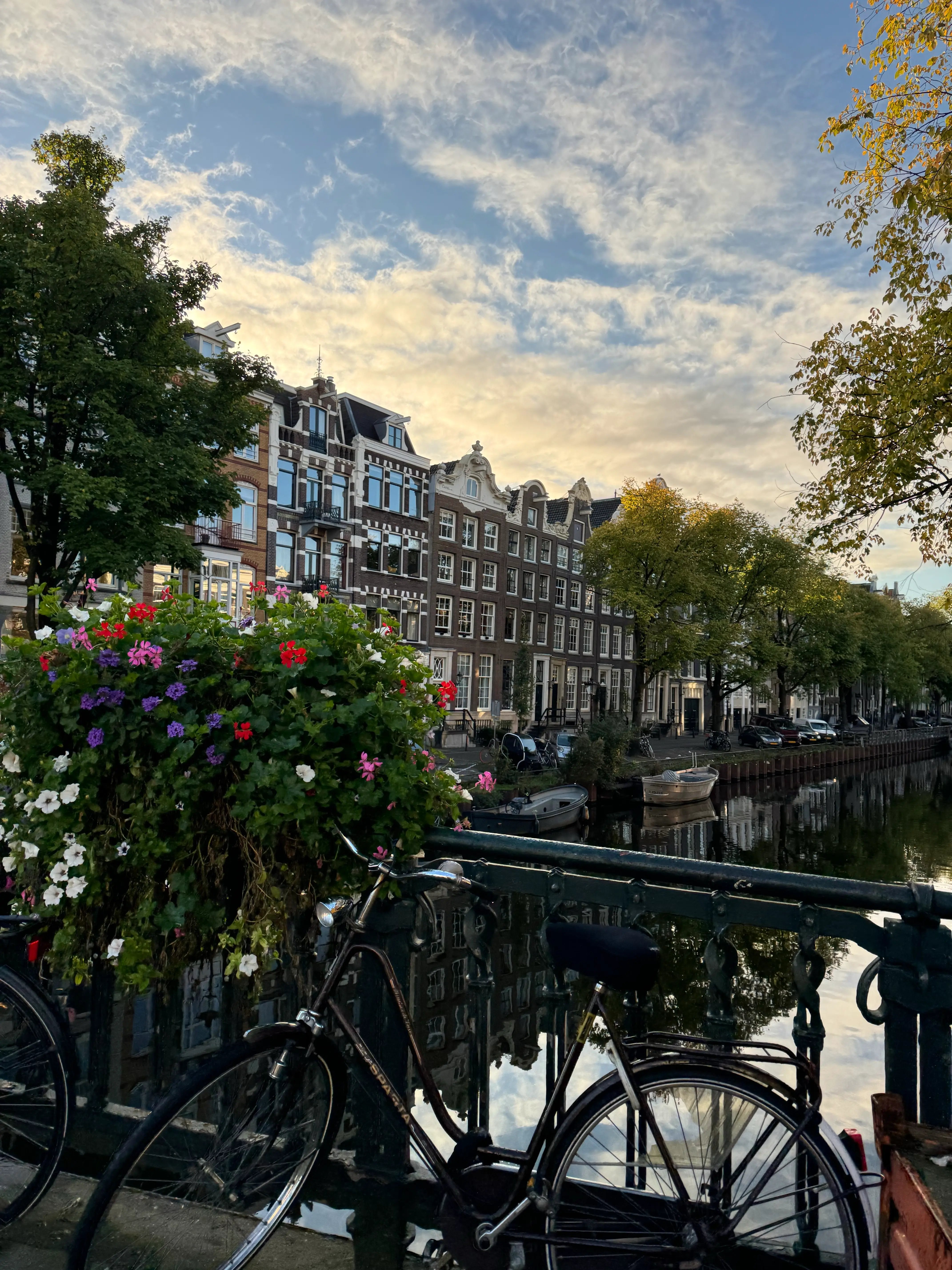 Grachtenkulisse in Amsterdam mit Blumen und historischer Architektur 