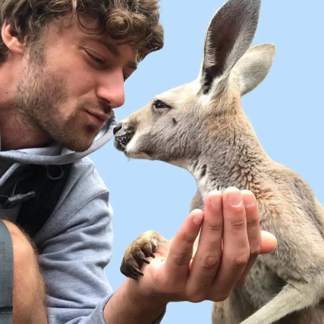 Mann und Känguru berühren Nasen, während er dessen Pfote hält, vor hellblauem Hintergrund