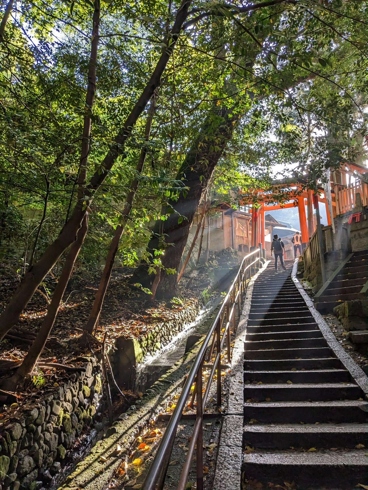 Traditioneller Torii-Weg in einem grünen Wald in Japan.