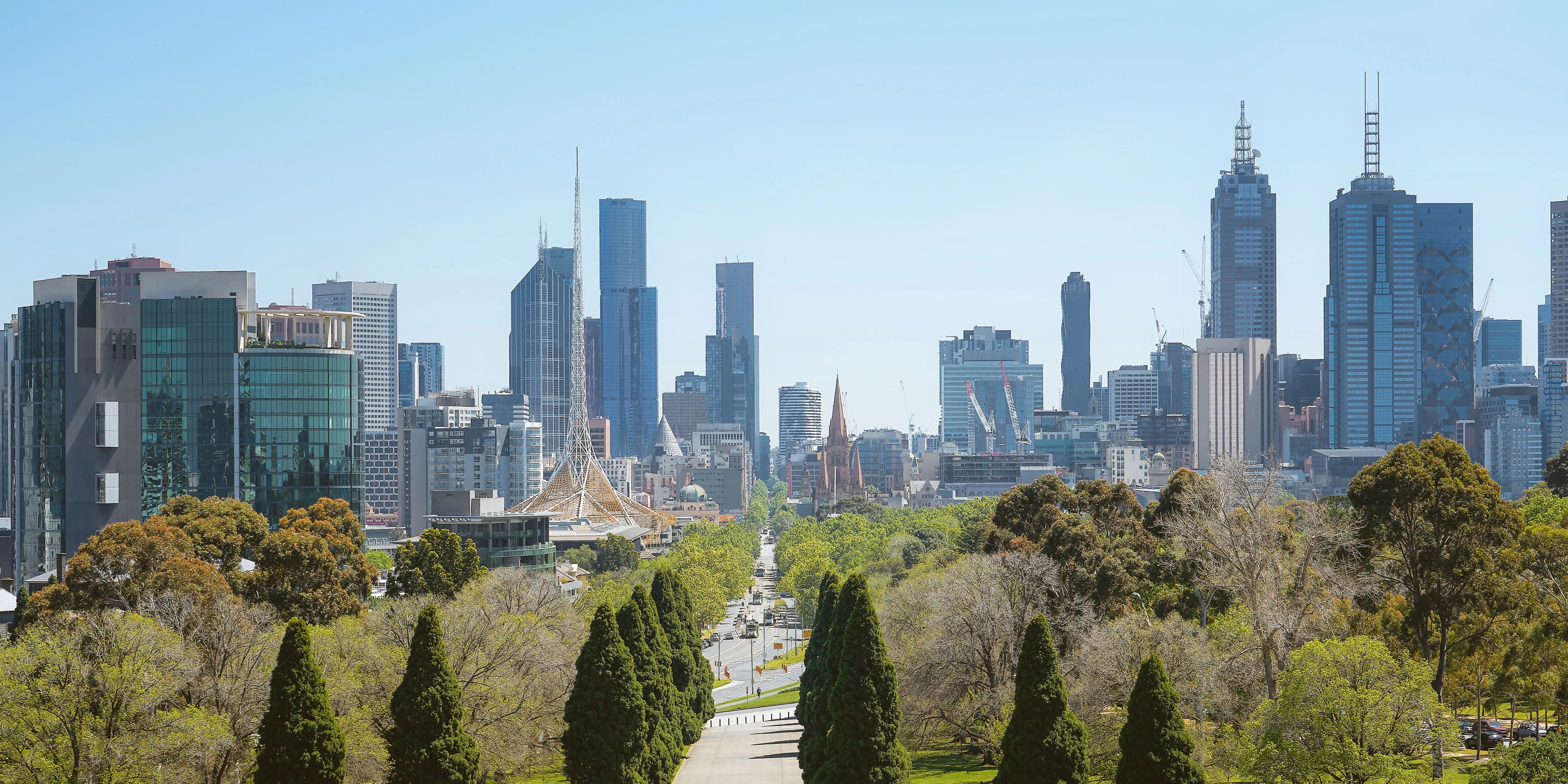 Blick auf die Skyline von Melbourne und dem grünen Park im Vordergrund.